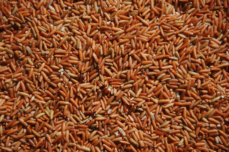 袁氏麓峰現(xiàn)代農(nóng)業(yè)有限公司,長沙袁酒原材料基地管理,白酒銷售,酒類銷售哪里好